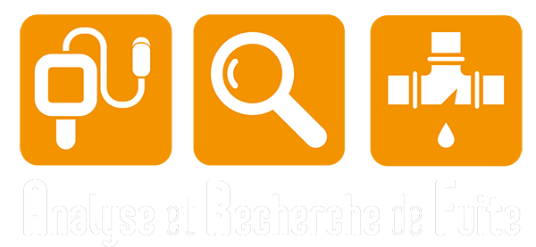 ARF - Analyse Recherche de Fuites